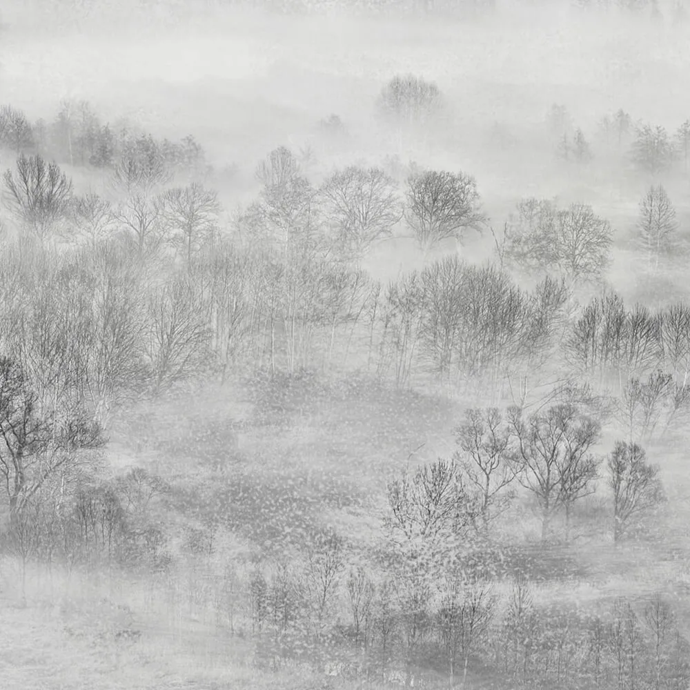 Rimura – Wallpaper Nebula 3D Model