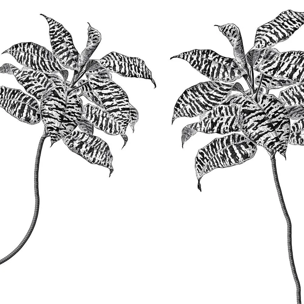 Rimura – Wallpaper Oasis 3D Model