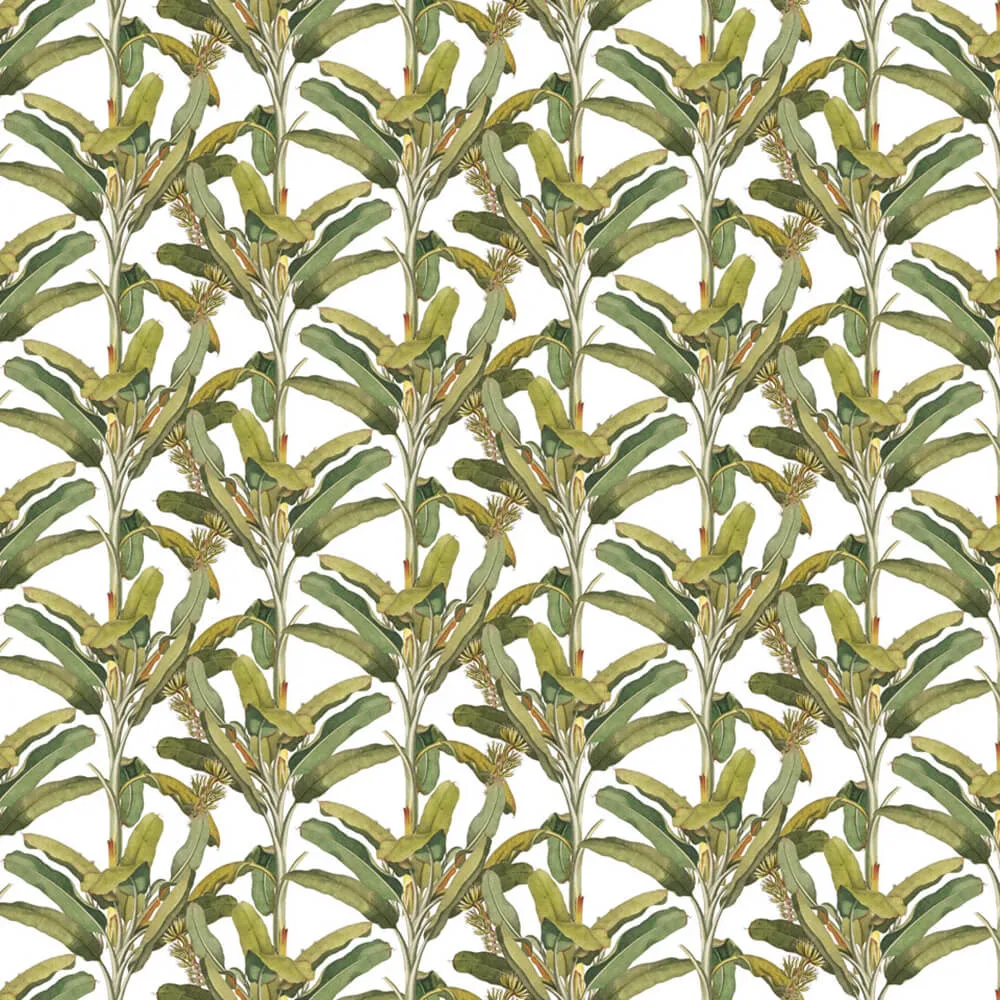 Rimura – Wallpaper Palmizio 3D Model