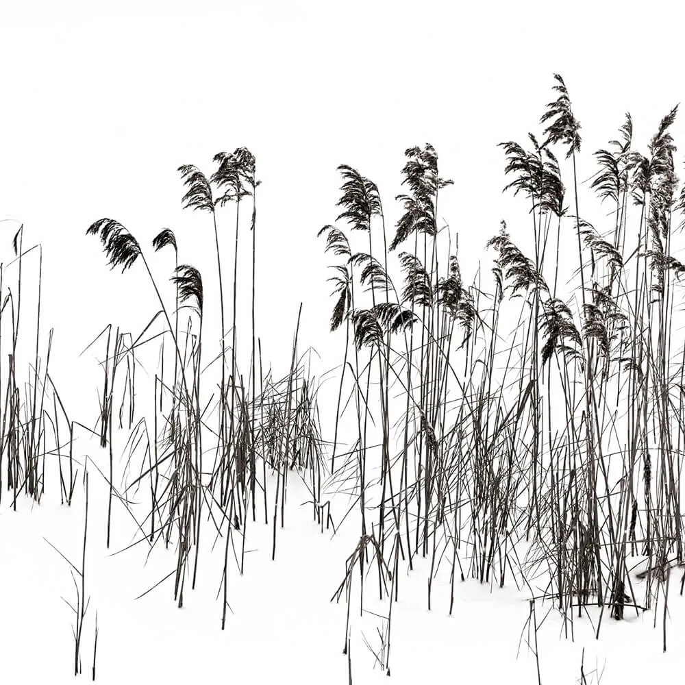 Rimura – Wallpaper Soldera 3D Model Rimura – Wallpaper Soldera 3D Model