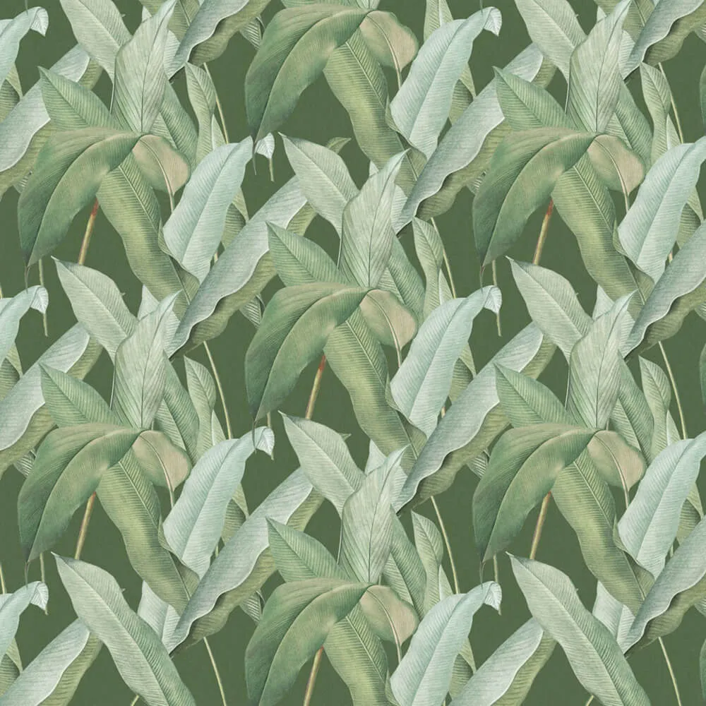 Rimura – Wallpaper Sundarbans 3D Model Rimura – Wallpaper Sundarbans 3D Model