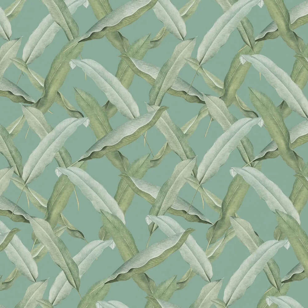 Rimura – Wallpaper Tongass 3D Model Rimura – Wallpaper Tongass 3D Model