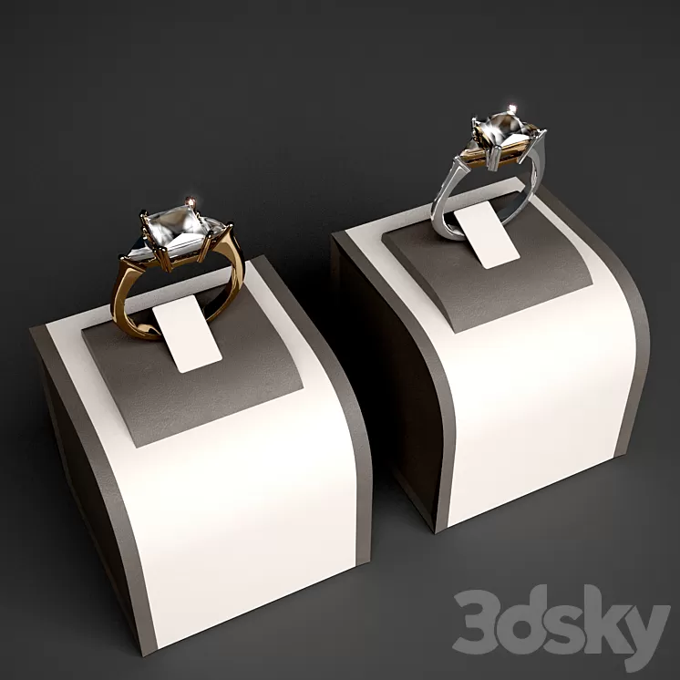 Ring-2 3D Model