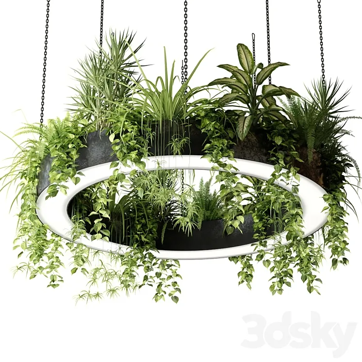 Ring lamp planter with plants 3D Model Free Download