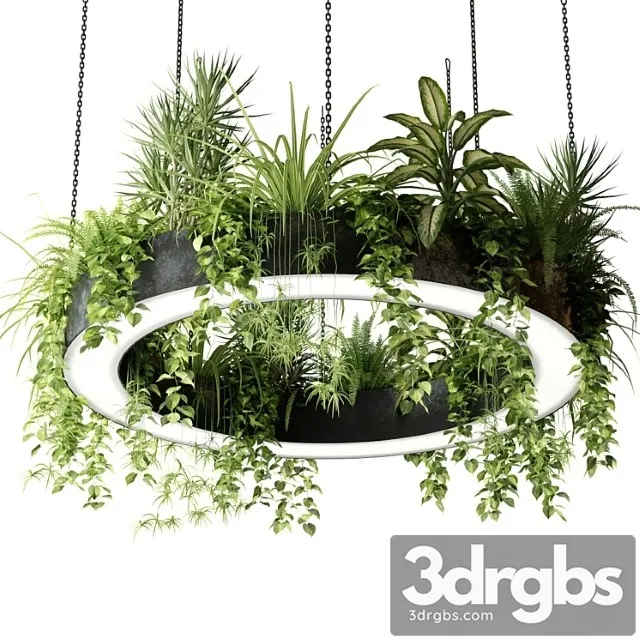 Ring lamp planter with plants Ring lamp planter with plants