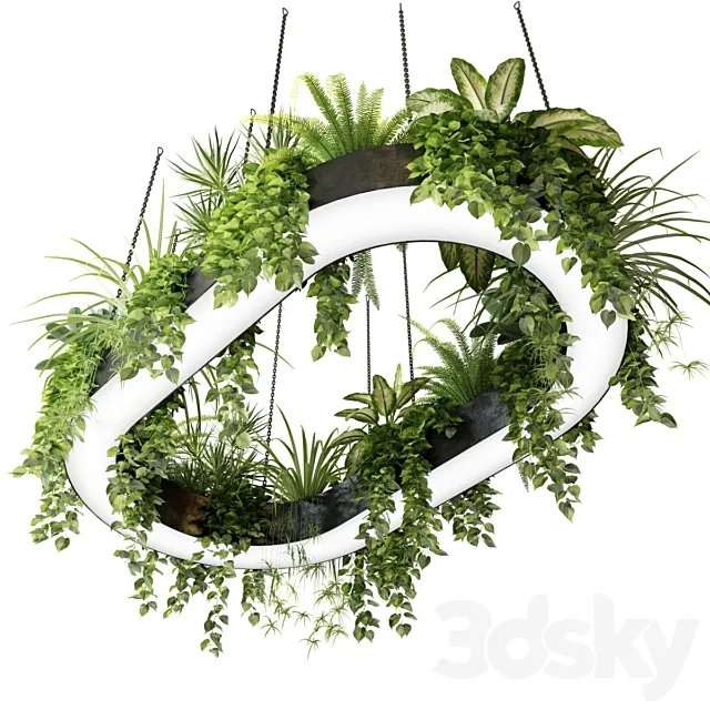 Ring planter lamp with plants 1.5m x 2.5m 3D Model Ring planter lamp with plants 1.5m x 2.5m 3D Model