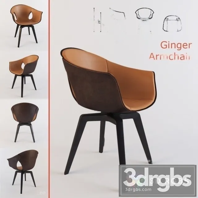 Roberto Lazzeroni Ginger Leather Armchair 3D Model Download