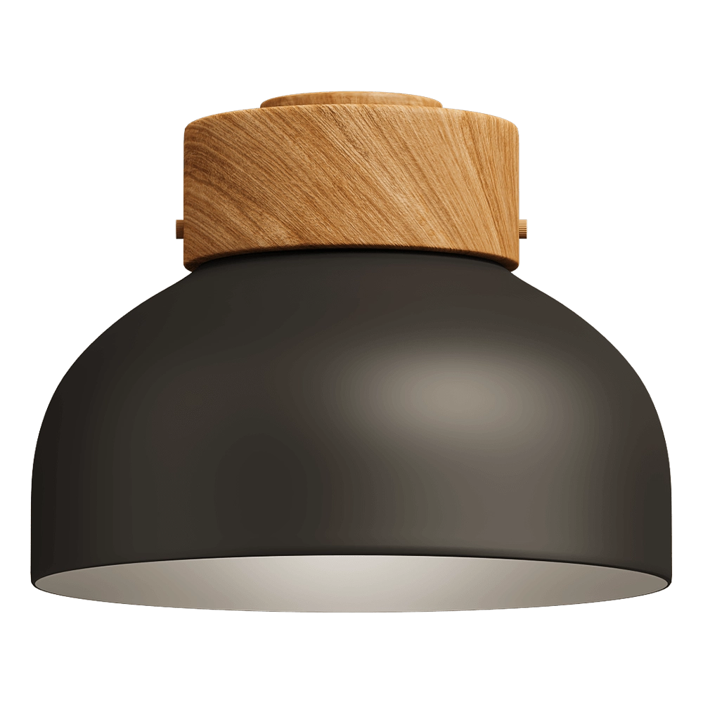 Robin Lamps – Ceiling lamp Reiko 3D Model