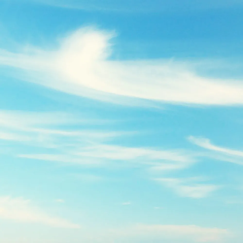 ROCK AND WALL – Wallpaper Angel feathers 3D Model