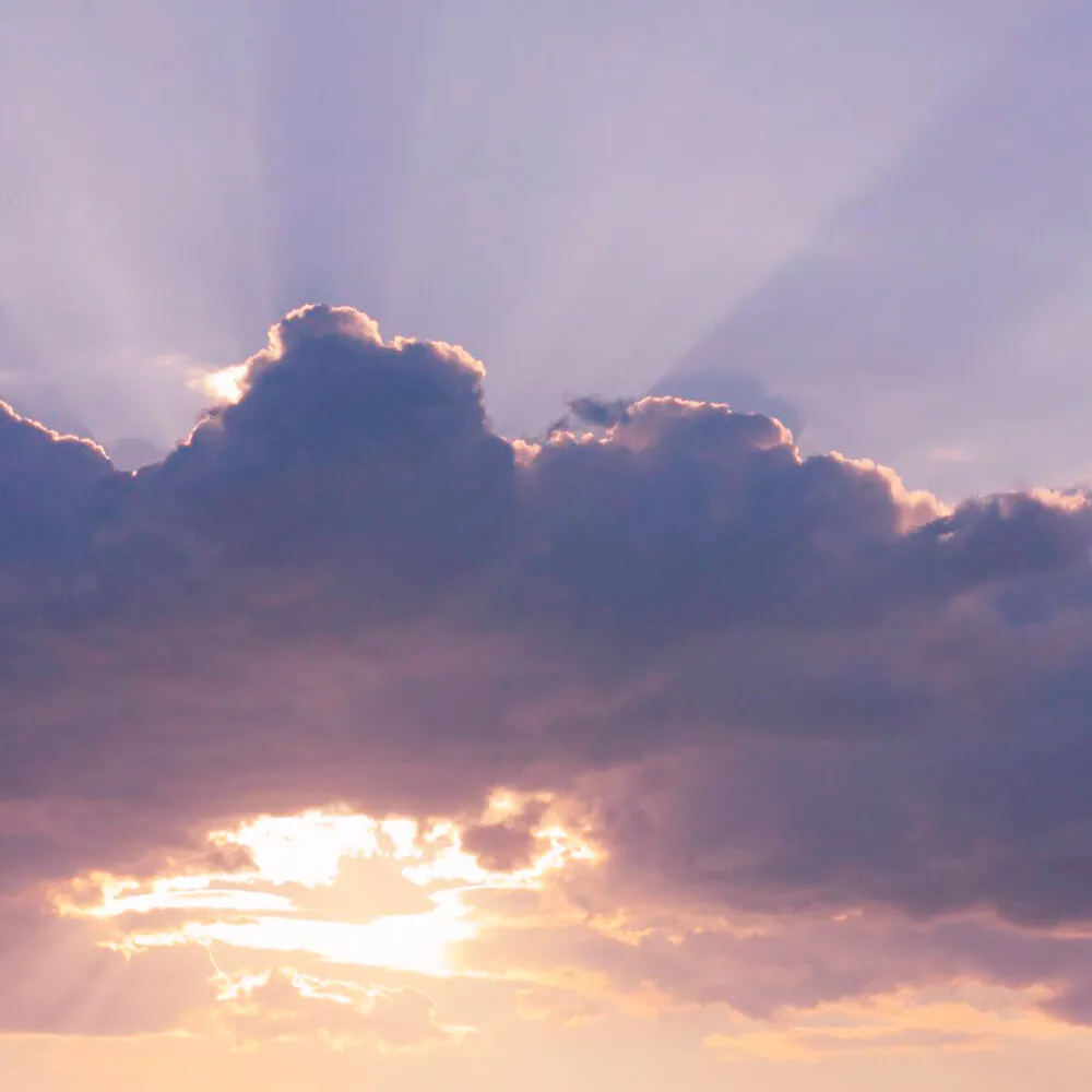 ROCK AND WALL – Wallpaper Insight 3D Model