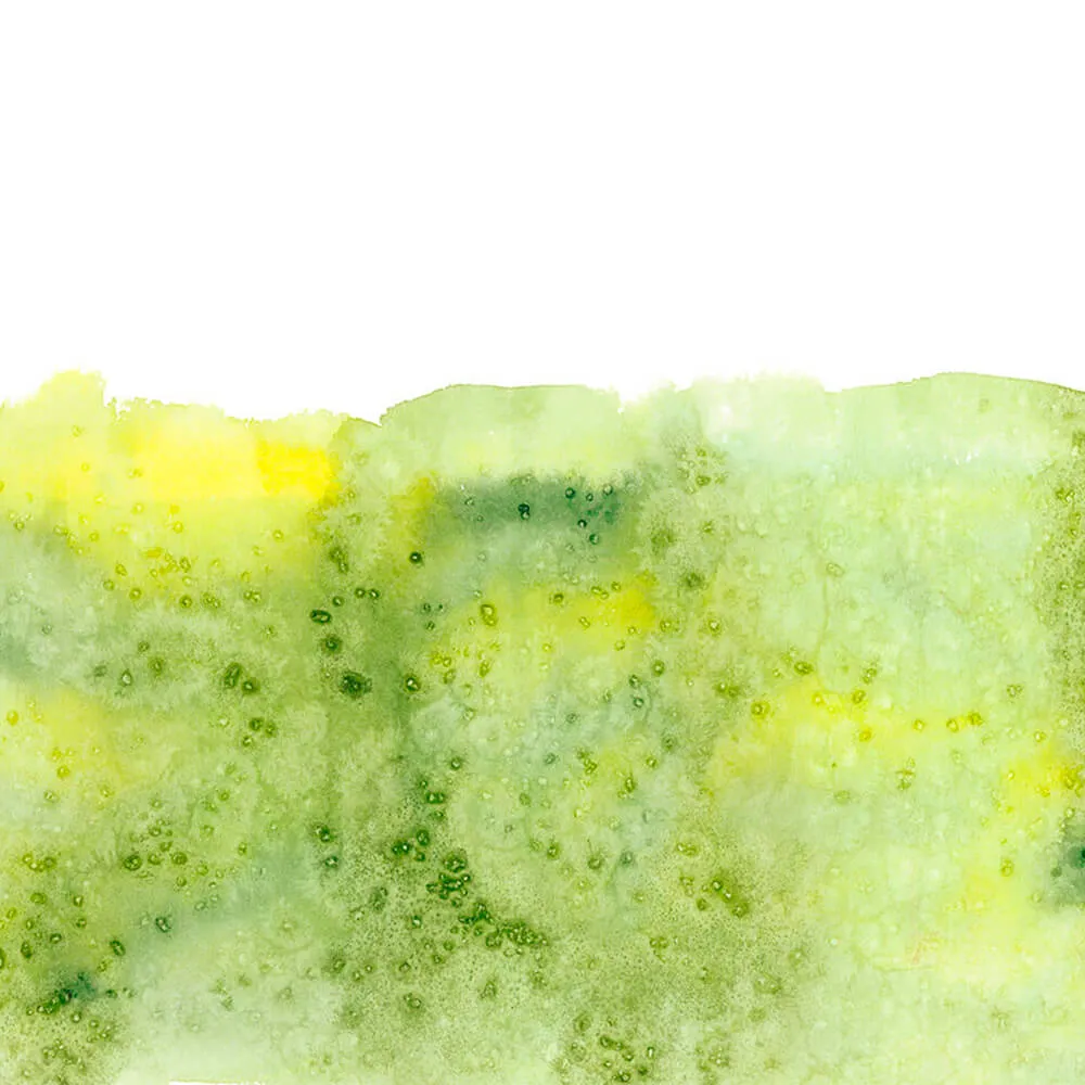 ROCK AND WALL – Wallpaper Pistachio flavor 3D Model