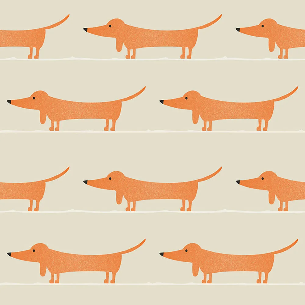 ROCK AND WALL – Wallpaper Red dachshund 3D Model