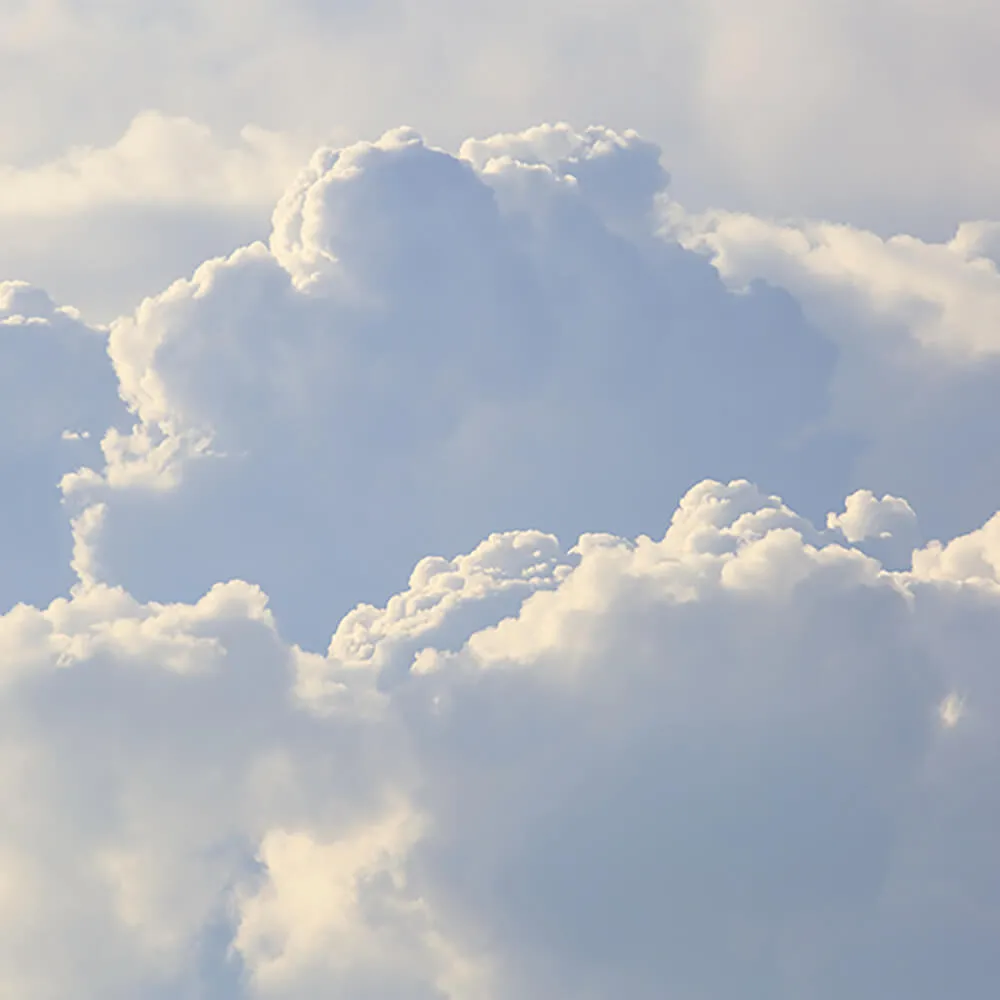 ROCK AND WALL – Wallpaper Tenderness 3D Model ROCK AND WALL – Wallpaper Tenderness 3D Model