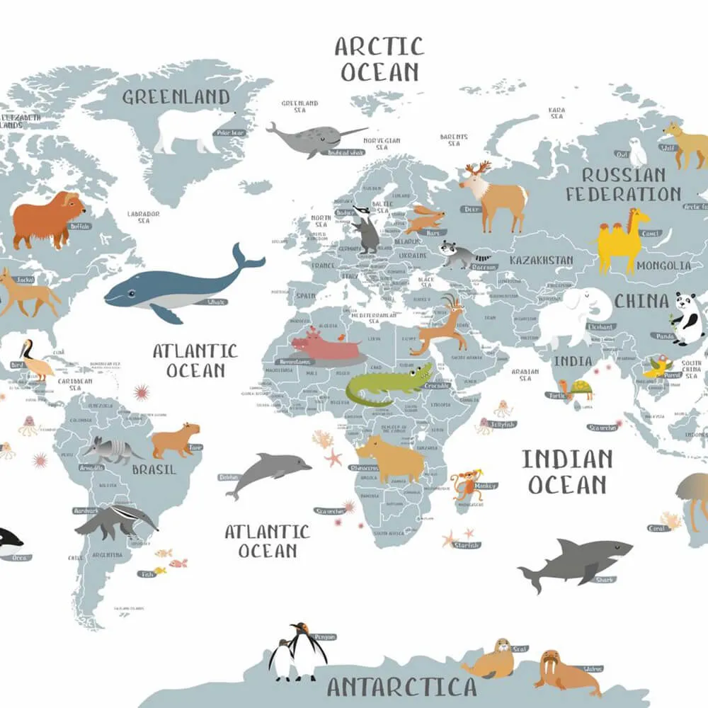 ROCK AND WALL – Wallpaper World map 3D Model ROCK AND WALL – Wallpaper World map 3D Model