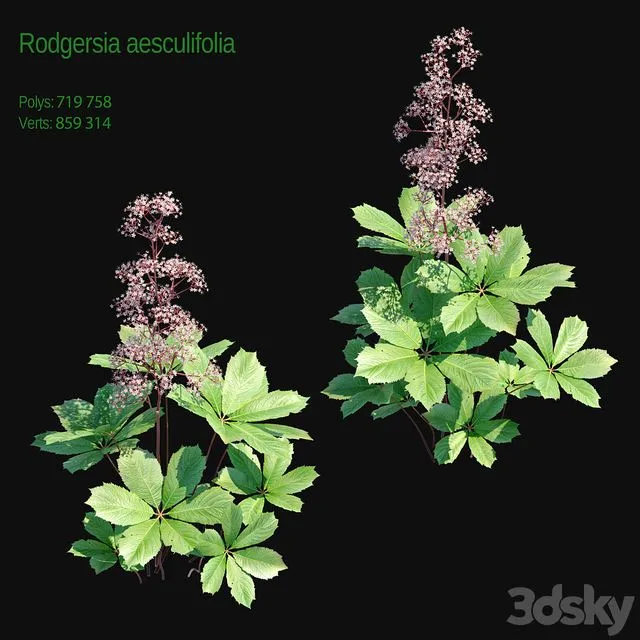 Rogers horse chestnut 2 3D Model