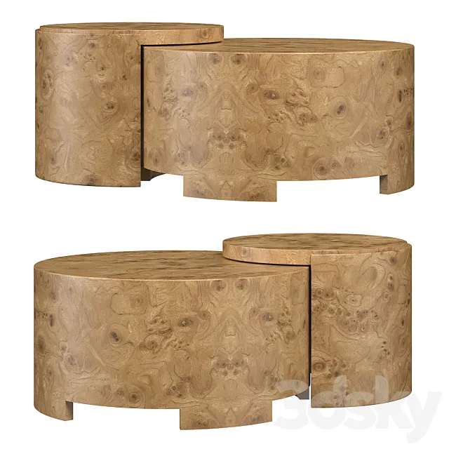 Rondel Burl Wood Veneer 3D Model