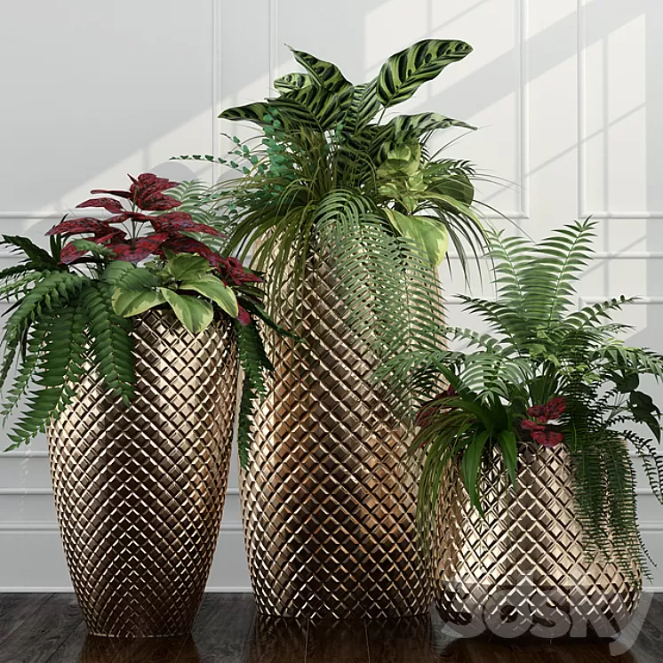 Room plants 11 3D Model Room plants 11 3D Model