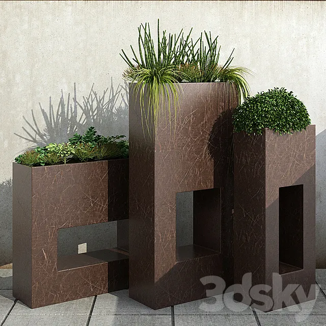 Room plants 13 3DModel Room plants 13 3DModel
