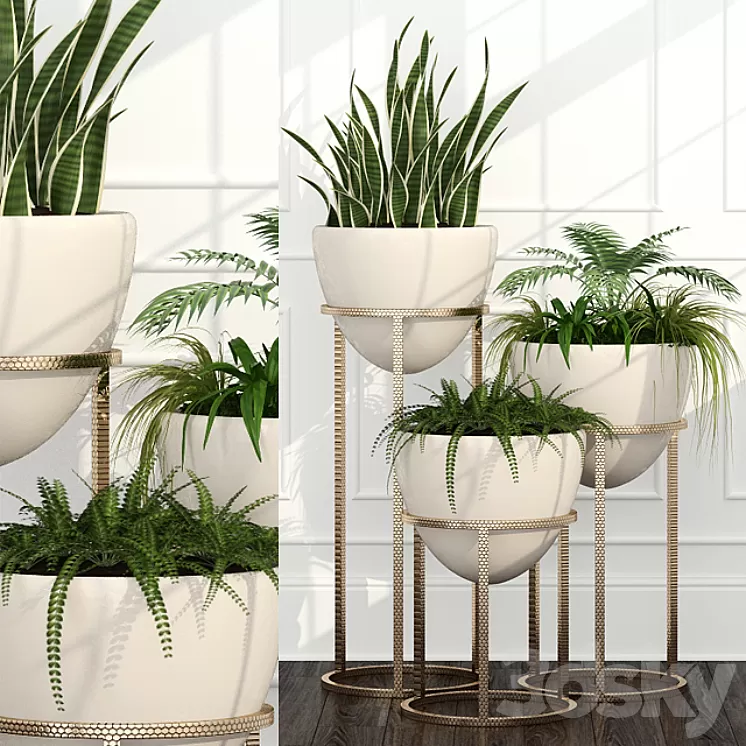 Room plants 14 3D Model Room plants 14 3D Model