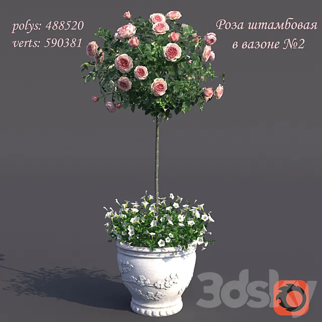 Rosa shtambovaya in a pot No. 2 3D Model Rosa shtambovaya in a pot No. 2 3D Model