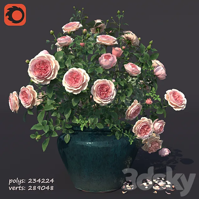 Rose bush in a flowerpot N1 3DModel Rose bush in a flowerpot N1 3DModel