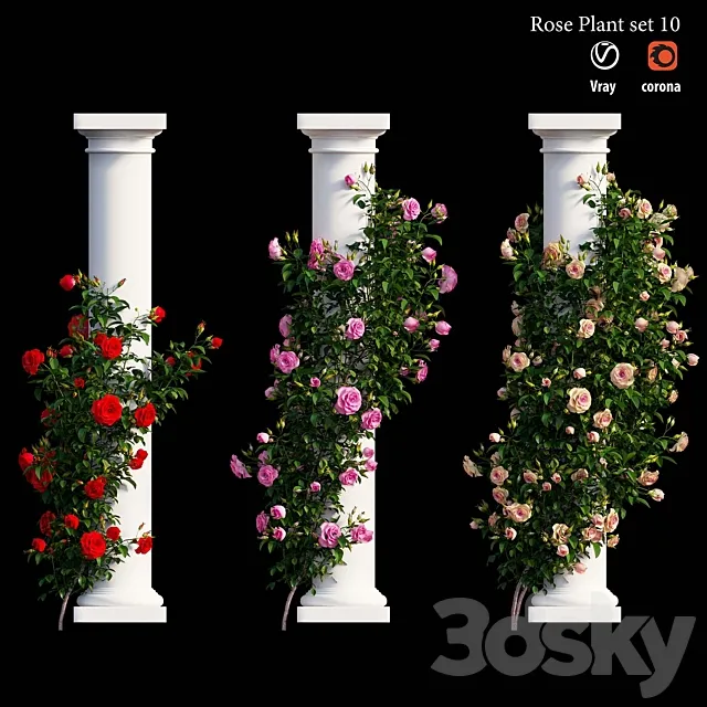 Rose plant set 10 3D Model Rose plant set 10 3D Model