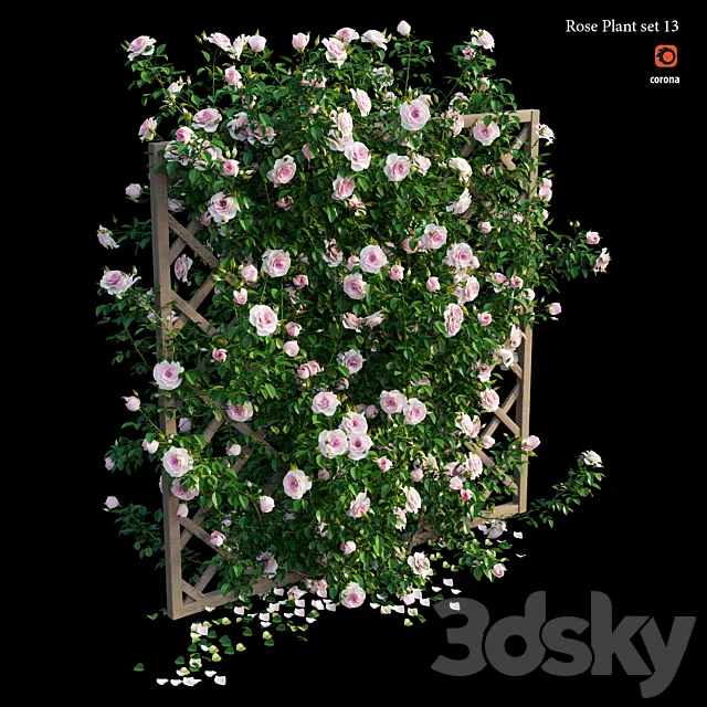 Rose plant set 13 3D Model Rose plant set 13 3D Model