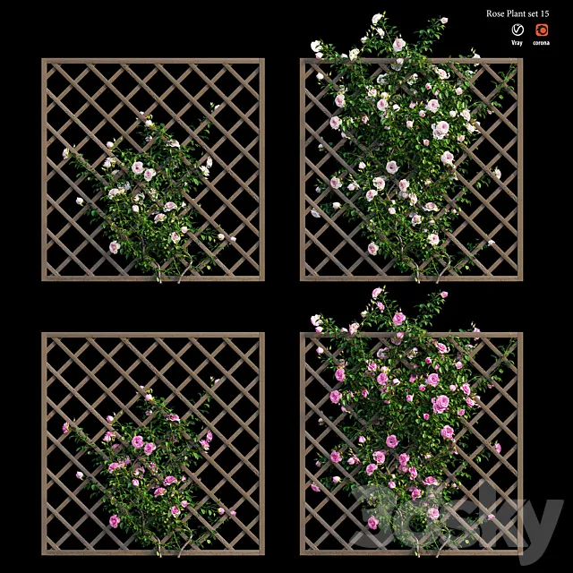 Rose plant set 15 3D Model Rose plant set 15 3D Model