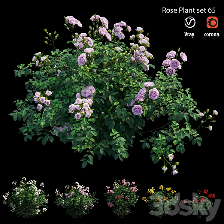 Rose plant set 65 3D Model