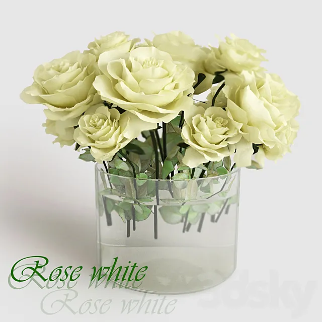 Rose white 3DModel Rose white 3DModel