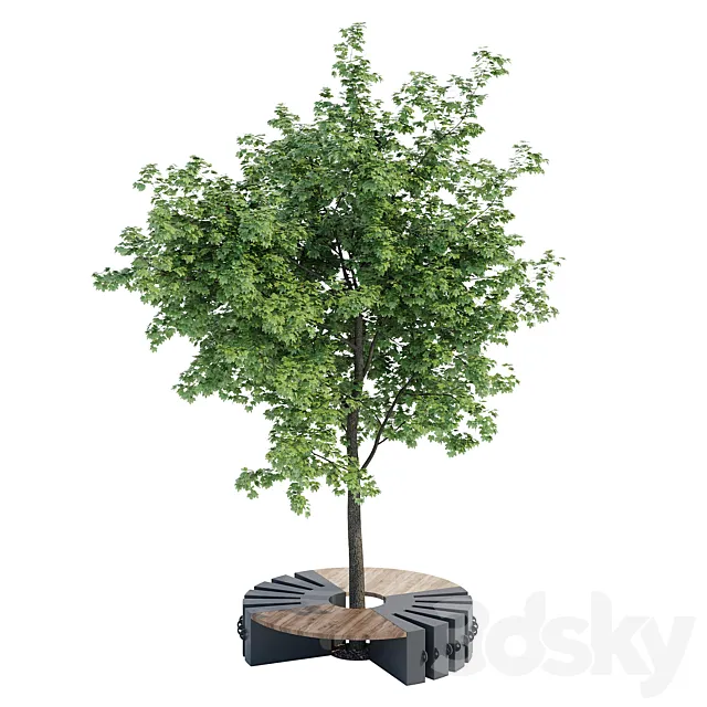 Round B 3D Model Round B 3D Model