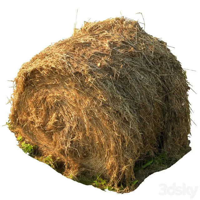 Round bale of hay 3D Model
