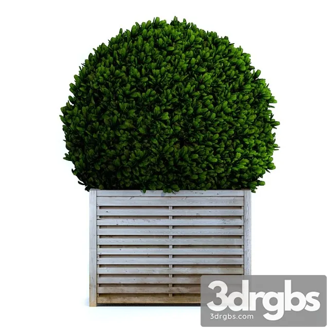 Round Bush 2 3D Model Download