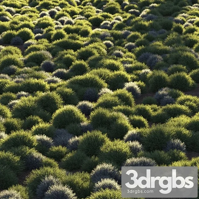 Round grass Round grass