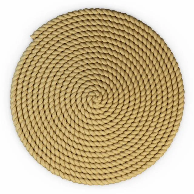 Round rug 3D Model