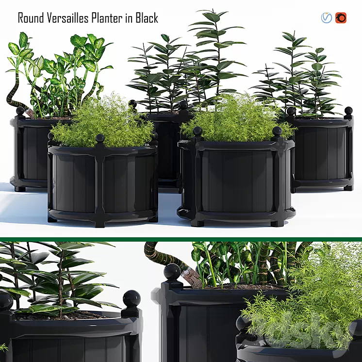 Round versailles planter 2 3D Model
