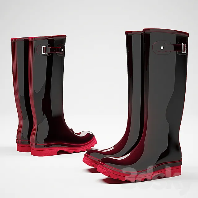 Rubber boots 3DModel