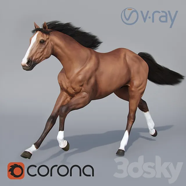 Running horse 02 3D Model