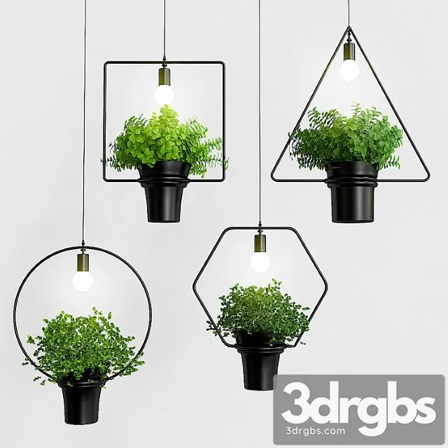 Sabidamen luz pingente moderno 3D Model Download Sabidamen luz pingente moderno 3D Model Download