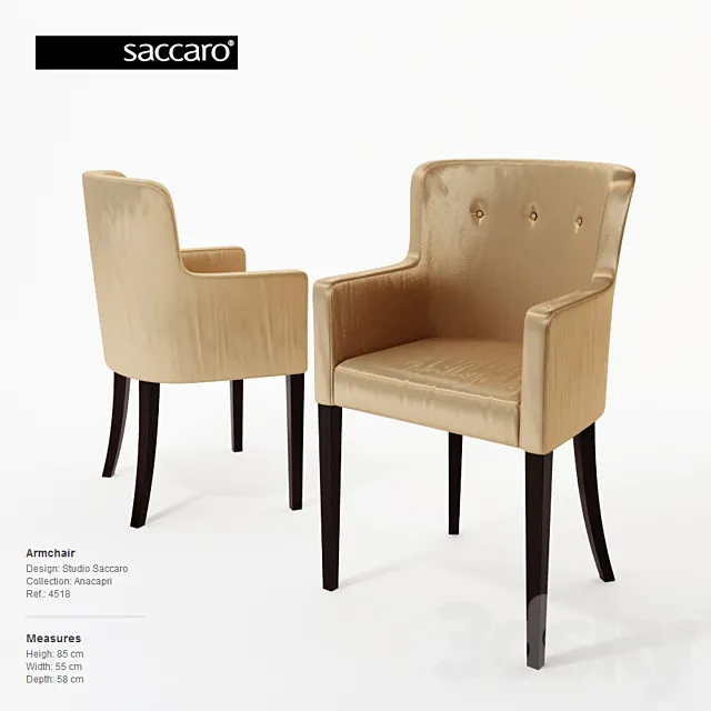 Saccaro 3D Model Saccaro 3D Model