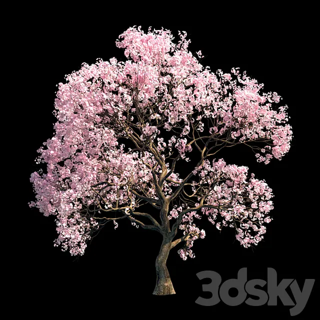 Sakura 9 3D Model Sakura 9 3D Model