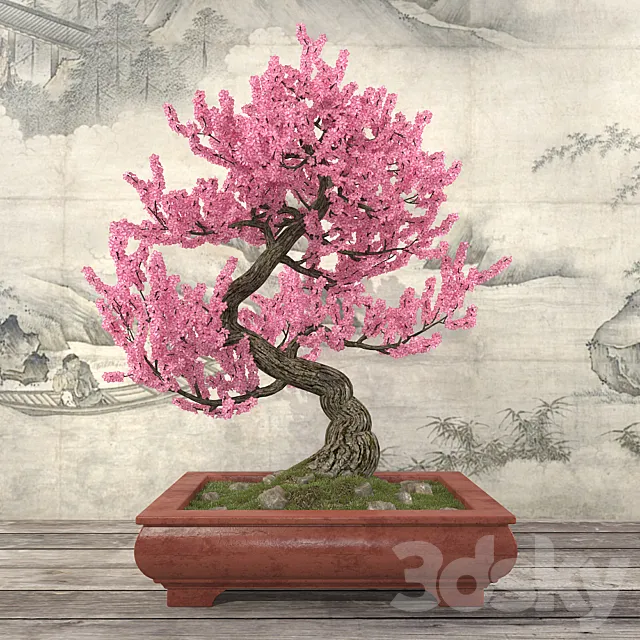 Sakura Bonsai 3D Model Sakura Bonsai 3D Model