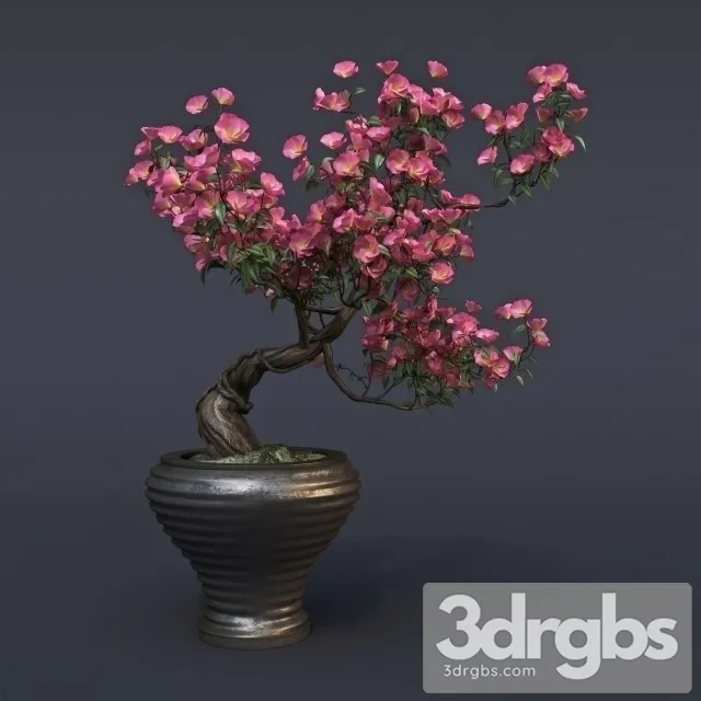 Sakura Bouquet 3D Model Download Sakura Bouquet 3D Model Download