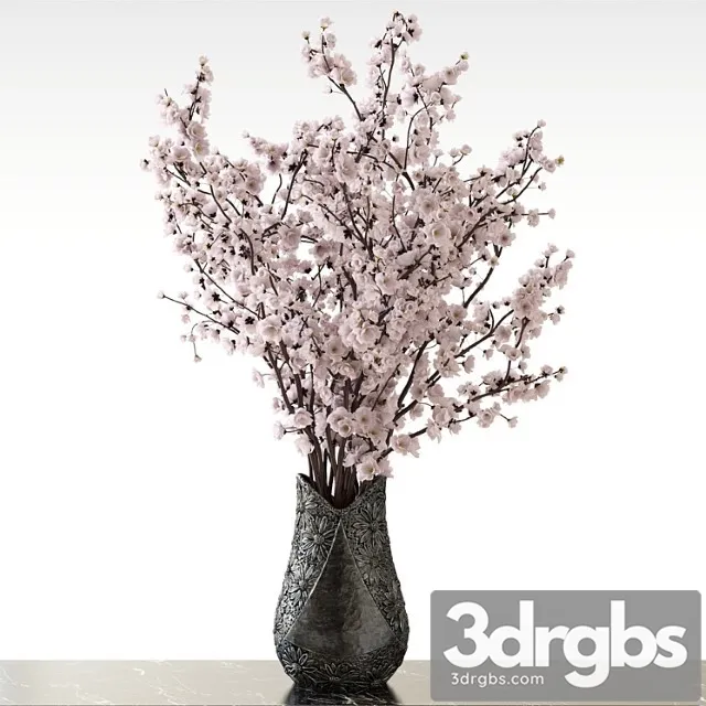 Sakura V Vazie 3D Model Download Sakura V Vazie 3D Model Download