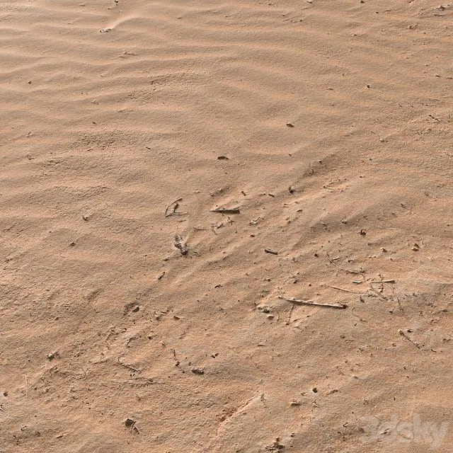 Sand Beach 07 3D Model