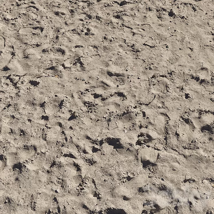 Sand beach_5 3D Model