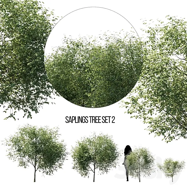 saplings tree set 2 3D Model