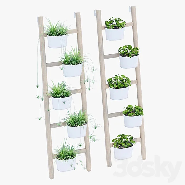 Satsumas three 3DModel Satsumas three 3DModel