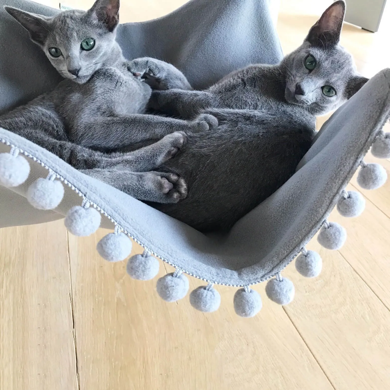 Saveplace – Saveplace 8 3D Model