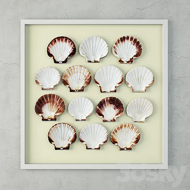 Scallop Shells 3D Model Scallop Shells 3D Model